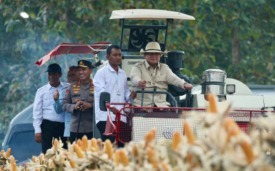 Presiden Prabowo Pimpin Panen Raya Jagung