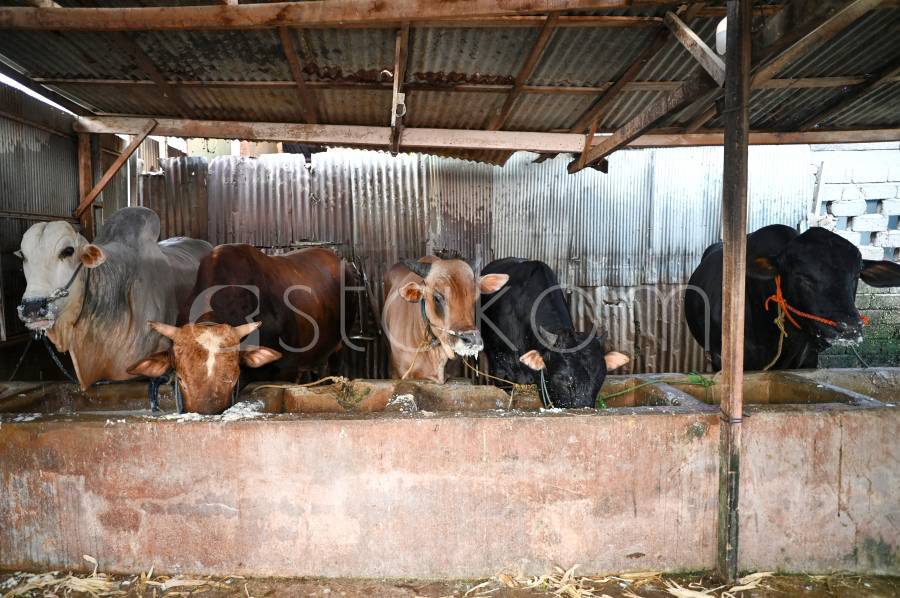 [astakom/str-Bannu Mazzandra]