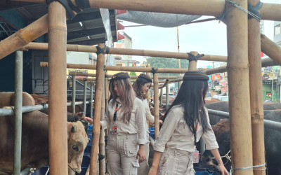 In This Economy! Orang Indonesia Tetep All In buat Kurban