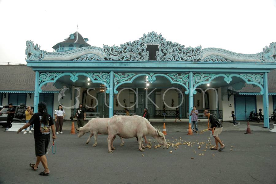 [astakom/str-Swara Nirwana]