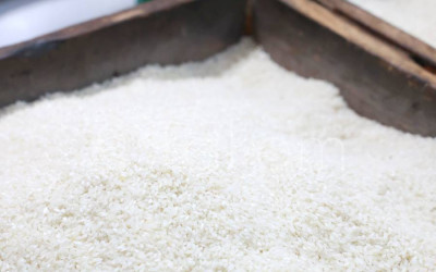 Beras RI Dijual Rp17 Ribu/Kg, Nilai Ekspor ke Malaysia Tembus Rp3,4 Triliun