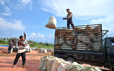 Pengolahan Limbah Sabut Kelapa