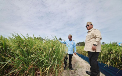 Presiden Prabowo Hadiri Puncak PENAS XVII