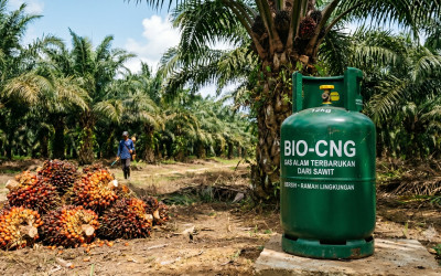 PLN EPI Punya Cara Baru Tekan Emisi: Limbah Sawit Disulap Jadi Bio-CNG