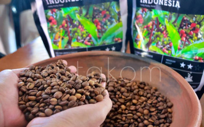 Kopi Liberika Tangse Mulai Diperkenalkan di Banda Aceh
