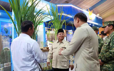 Target Swasembada Pangan Resmi Tercapai, Presiden Prabowo Lanjut Kejar Sektor Energi dan Air