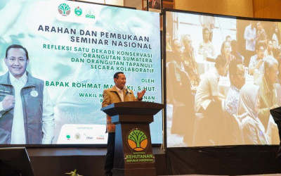 Spill Populasi Terkini Orangutan Sumatera dan Tapanuli, Kondisinya Lagi Nggak Baik-Baik Saja?