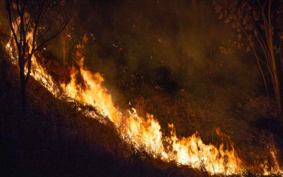 Gawat! Kebakaran Hutan di Kanada Paksa Ribuan Warga Mengungsi Massal