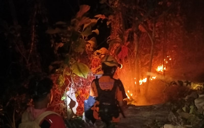 BNPB Ungkap 34 Kejadian Bencana di Tanah Air: Dari Karhutla hingga Kekeringan