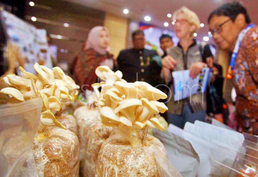 [astakom.com/str-Hayu Yudha Prabowo]