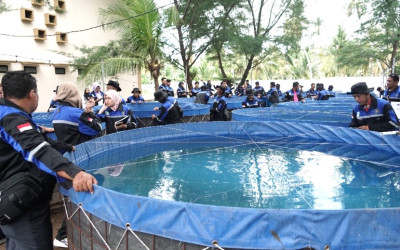 Gaspol! KKP Siapkan Budidaya Ikan Tematik untuk Pasok Protein MBG, Gunakan Teknologi Kolam Bioflok