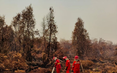 Tangani Karhutla di Kalimantan, Pemerintah Terjunkan 12.880 Personel dan Tambah Armada Udara