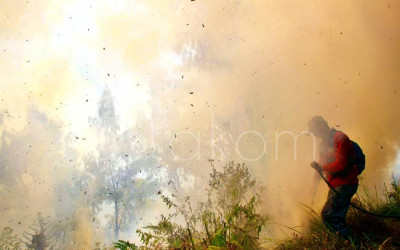 Petugas Padamkan Kebakaran Taman Nasional Bromo