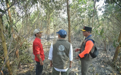 Kemenhut Tinjau Karhutla di Kalsel, Lahan Gambut Banjar Masih Berasap