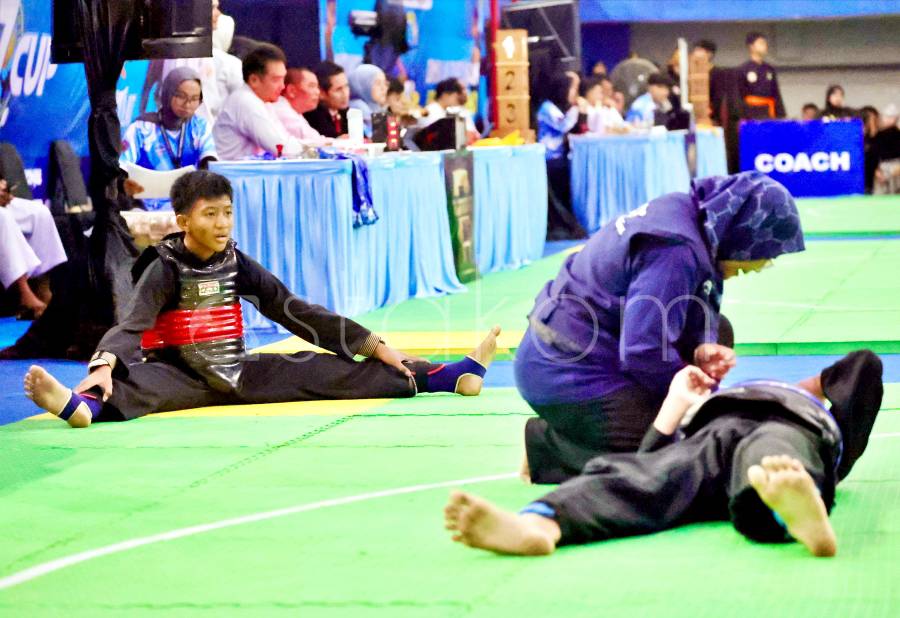 M. Syauqi Amrullah