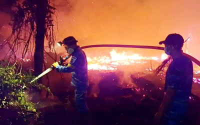 Langkah Sat-Set Usut Karhutla: Izin 6 Perusahaan Dibekukan, Ratusan Tersangka Diperiksa