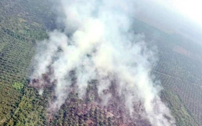 KLH Perkuat Pemantauan Karhutla untuk Tekan Risiko Asap Lintas Negara
