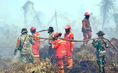 Cegah Munculnya Titik Api Baru, Pemerintah Perketat Penjagaan Daerah Terdampak Karhutla