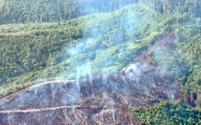 Penanganan Karhutla Berlanjut, KLH Soroti 19 Perusahaan di Tujuh Provinsi