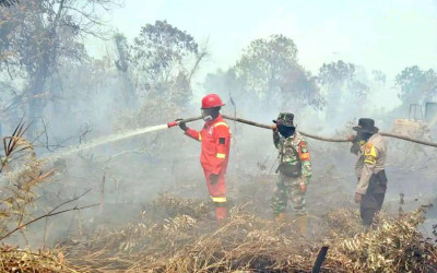 Update Karhutla: Hotspot Turun 629 Titik, Kemenhut Genjot Penangganan di Sejumlah Wilayah