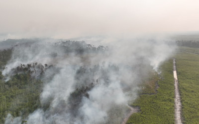 BNPB Tambah Kekuatan Udara, Upayakan Penanganan Karhutla di 6 Provinsi Prioritas