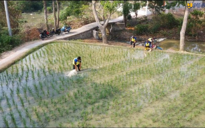 Tangani Kekeringan, Pemerintah Selamatkan 141.440 Hektare Sawah Warga