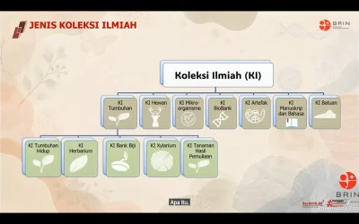 Dukung Riset Kampus, BRIN Open Akses Jutaan Spesimen Koleksi Ilmiah