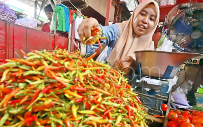 Ayam dan Cabai Pemicu Inflasi Jawa Timur