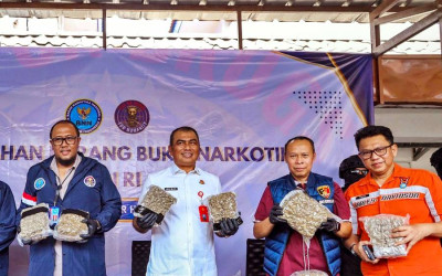 BNN Musnahkan Belasan Kilogram Ganja Asal China