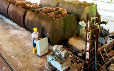 Harga CPO Ngegas, El Nino dan Eskalasi Timur Tengah Bikin Pasar Waspada