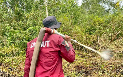 Dishut Kalsel Tangani Karhutla Hutan Lindung Liang Anggang