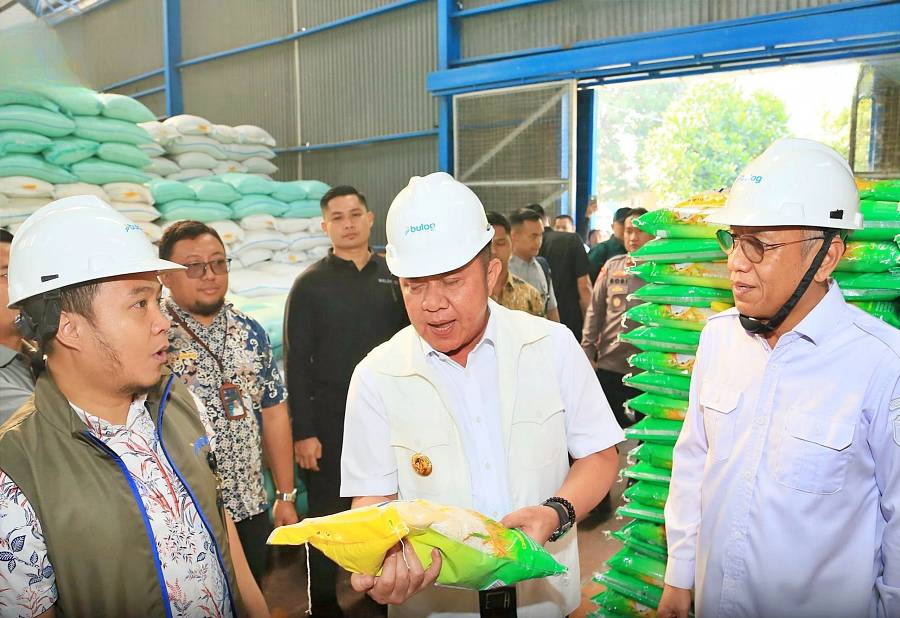 Pemerintah Prov. Sumatera Selatan
