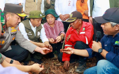 BPGMN Segera Terbentuk, Kemenhut Siapkan Perpres Pengelolaan Gambut dan Mangrove