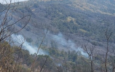 BPBD Lumajang Intensifkan Penyekatan, Api Bromo Masih 3 Km dari Permukiman