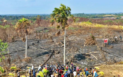 Menhut dan Kepala Otorita IKN Cek Karhutla di Bukit Tengkorak
