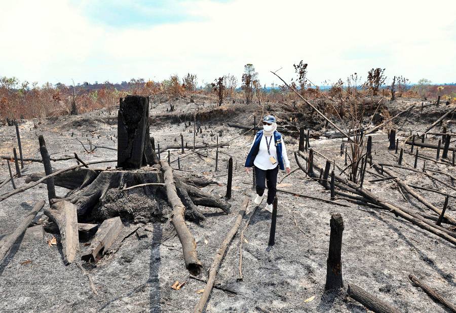 Humas Otoritas Ibu Kota Nusantara