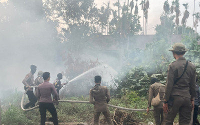 Gercep! Tim Gabungan Berjibaku Tangani Karhutla dari Sulbar hingga Papua Tengah
