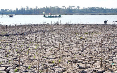 Penurunan Elevasi Air Waduk Karangkates Malang