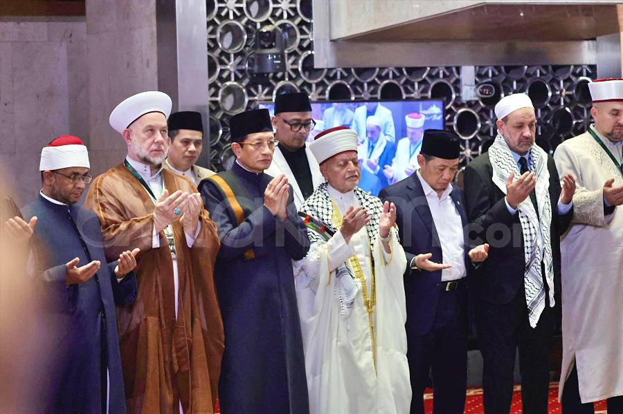 M. Syauqi Amrullah