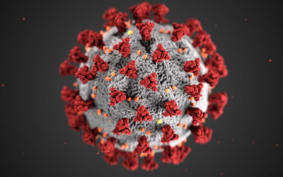 Influenza A Naik, H1N1pdm09 Dominan dalam Temuan Surveilans Kemenkes