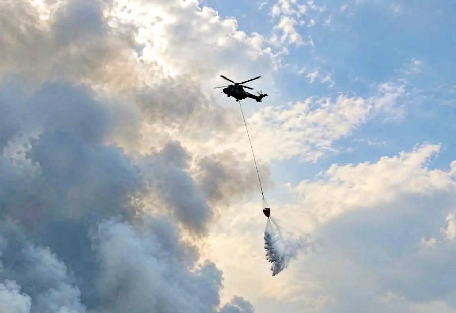 Grup 2/Heli Koopsau
