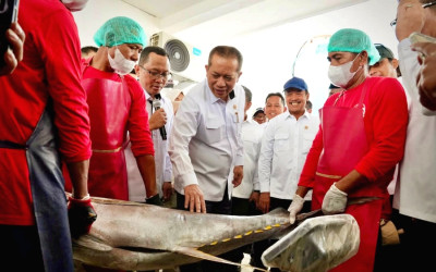 Kemenkop dan Sinergi KKP Kelola KNMP Sinjai