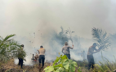 Tangani Karhutla di Betara Tanjab Barat, Satbrimob Polda Jambi Terjunkan 30 Personel dan Helikopter Water Bombing
