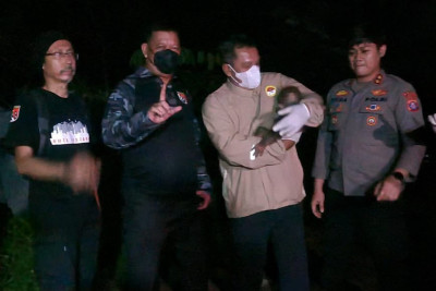 Polisi Bersama Tim Gabungan Selamatkan Induk dan Anak Orang Utan Terdampak Karhutla di Kalteng
