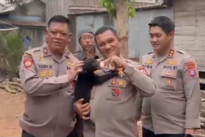 Polri Evakuasi Anak Beruang Madu Terdampak Karhutla di Kalteng