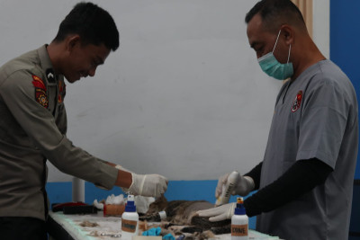 Biar Anabul Sehat dan Gak Overpopulasi, RSH Polri Presisi Buka Layanan Steril Gratis