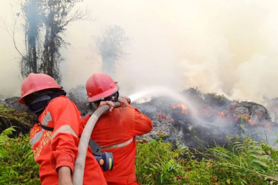 Jumlah Hotspot Menurun 84 Titik , Kemenhut Tetap Perkuat Operasi Karhutla