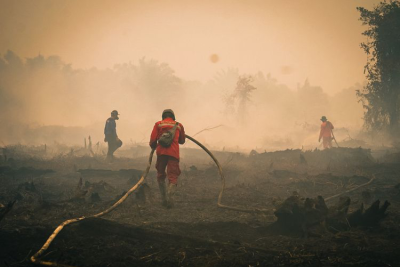 Pemerintah Bekukan Izin Enam Korporasi Terkait Karhutla, Total 32 Perusahaan Kena Sanksi