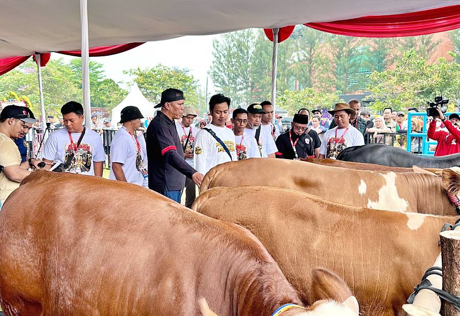 Diskominfo Kab. Bogor