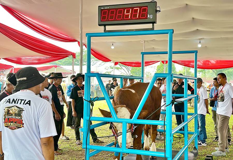 Diskominfo Kab. Bogor